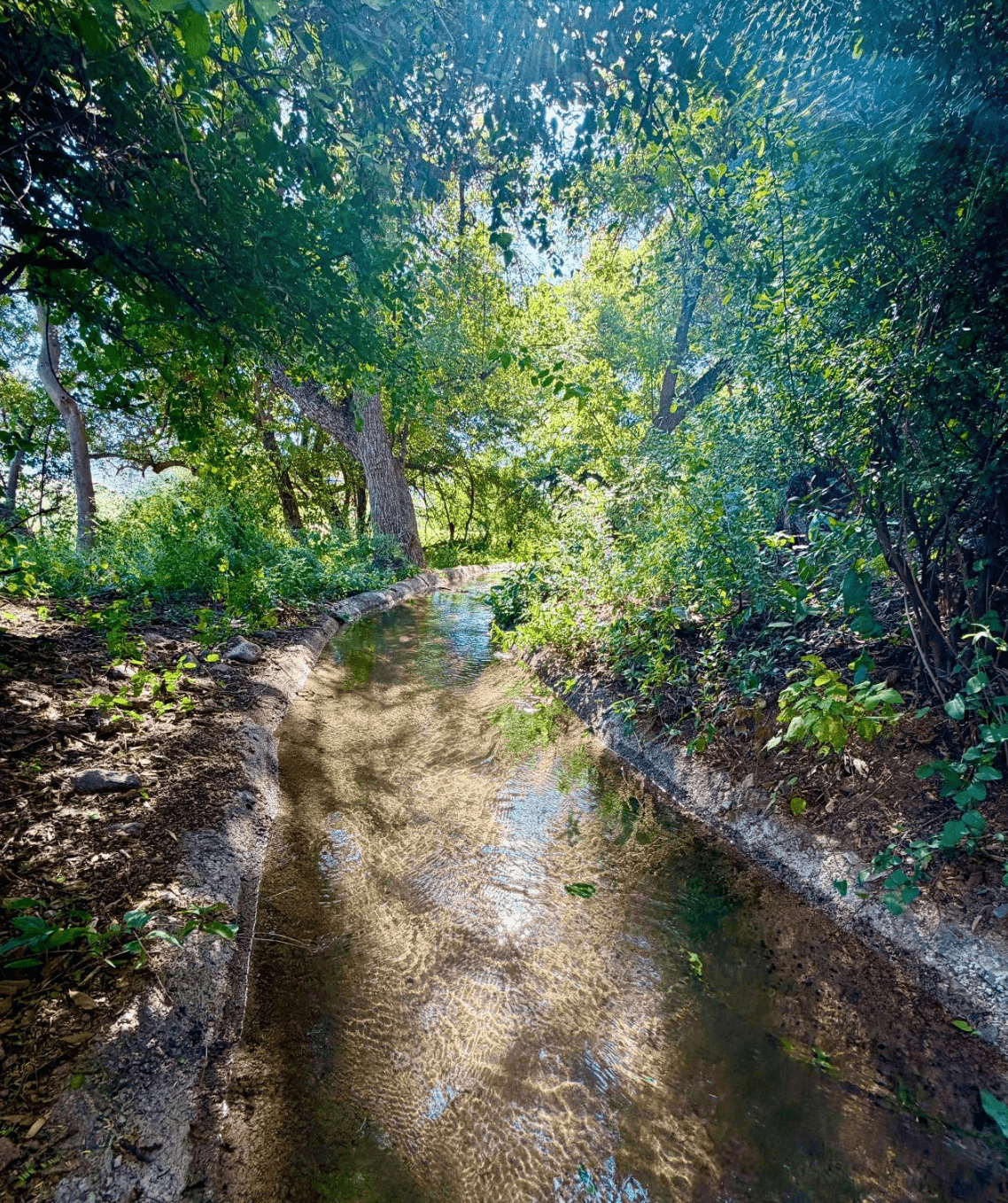 Las Acequias